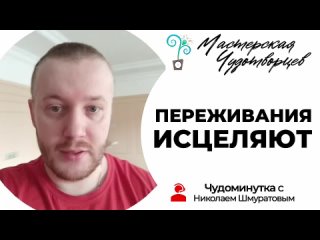 ПЕРЕЖИВАНИЯ ИСЦЕЛЯЮТ | Чудоминутка с Николаем Шмуратовым