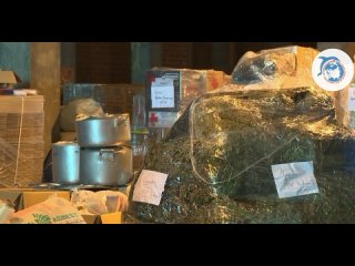 Гумпомощь и медикаменты на территорию Донбасса отправили из Югры