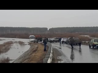 В Курганской области из-за паводка затопило дорогу на подъезде к селу Звериноголовскому, движение перекрыто