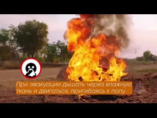 Video by Альменевская районная газета “Трибуна“