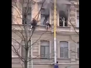 Video by Sergey Korshunov