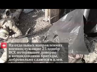 Брошенные своими командирами боевики 25 овдбр ВСУ массово сдаются в плен бойцам группировки “Центр“