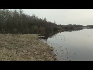 Видео от Подкаст “Голос из провинции“. Великий Новгород.