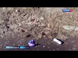 При стремительном таянии снега Иваново погрязло в грязи и мусоре