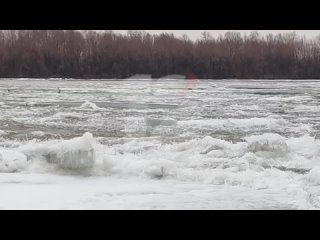 Сбросив ледяные оковы: в Омске начал оттаивать Иртыш