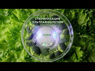 Video by Lyudmila Kamerova