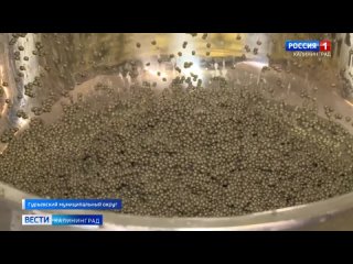 Video by Рыбалка в Калининграде - Калининградский рыболов