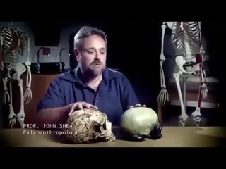 Документальный фильм - Homo Sapiens