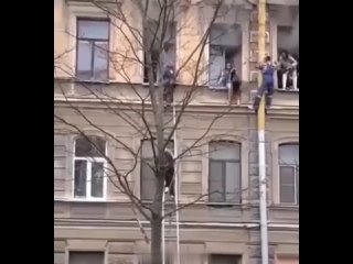 Видео_от_Краснодар_Топор.mp4
