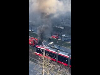 В Невском районе горел трамвай