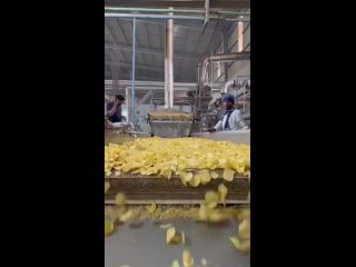 Фабрика чипсов
