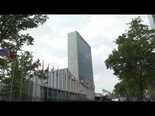 Совет Безопасности ООН рассмотрел заявку Палестины на членство в ООН