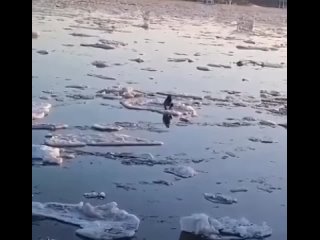 Мужчина плыл в Китай на льдине