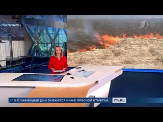 Пожароопасная ситуация в Амурской области, где установилась сухая и ветреная погода