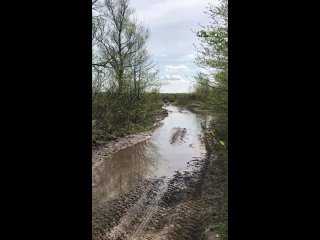 Видео от Прогулки на квадроциклах Рязань