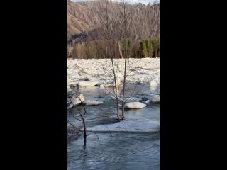 Ледовое поле прочно стоит, уровень воды в реке см