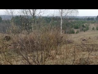 Видео от Верхняя Ёнтала. Восстановление Ильинского Храма.