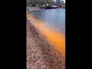 “Где еще такое увидишь!“: во Владивостоке вода на побережье окрасилась в яркий оранжевый цвет. Причиной необычного явления стало