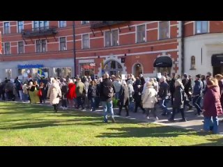 Мигрант убил местного, народ требует депортации всех мигрантов (Швеция)