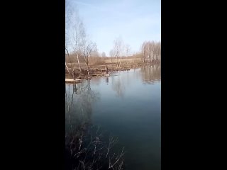 Видео от Клёвая рыбалка в Лёдово  (М.О. Каширский район)