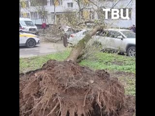 🌬Городские службы рекомендуют москвичам быть внимательнее на улице из-за сильного ветра с порывами до 18 м/с

По прогнозам синоп