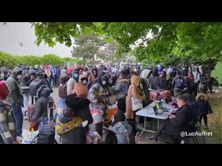 ⭐⭐⭐⭐⭐Près de 450 envahisseurs clandestins évacués ce matin d’un squat en banlieue parisienne.