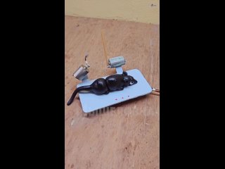 Инженер-безумец, который создал ловушки для тараканов, пошёл ещё дальше и сделал мышеловку.