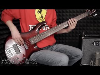 Бас-гитара SCHECTER C-5 DELUXE