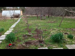 Видео от Мой Любимый Дом в деревне Илькино
