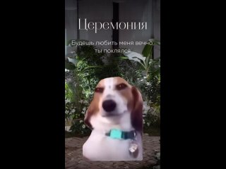 Video by Свадебный салон Сургут | Богиня |
