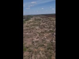 Todo lo que queda de la cabeza de puente ucraniana en Krynki y del propio pueblo en la margen izquierda del Dniper