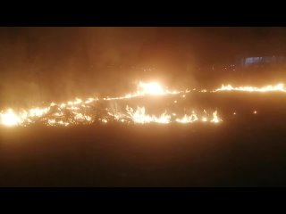 8 случаев возгорания сухой травы зафиксировали в Пензенской области всего за одни сутки