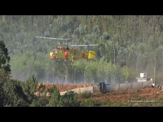 Le Portugal transférera des hélicoptères soviétiques Ka-32 vers l’Ukraine