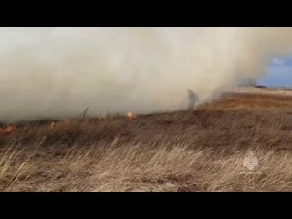 В Минусинском районе был потушен пожар на площади 700 квадратных метров, вызванный возгоранием травы рядом с поселком Озеро Таг