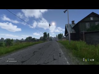 DayZ Random moments #773