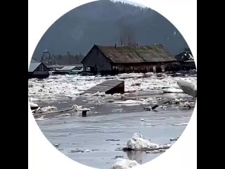 Беспрецедентное наводнение в Кемеровской области - река Мрассу вышла из берегов