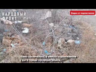 Настоящий свинарник! Жители микрорайона Шишковка в Улан-Удэ просят убрать свалку возле домов и школы.