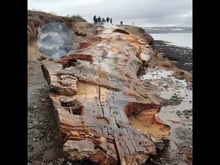 Останки Ноева ковчега были найдены близ острова Далки.