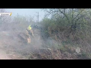 За минувшие сутки сотрудники МЧС потушили 19 пожаров в экосистеме ДНР

Общая площадь уничтоженного сухостоя порядка 62 га.