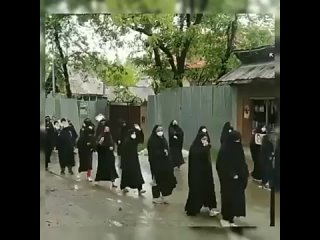 Exclusive footages of today protests in Kashmir following insulting Imam Khomeini in a children book in Kashmir. The publisher o