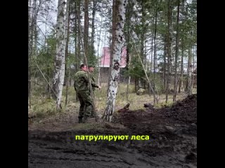 Video by МБУДО ШГО Шалинская ДМШ