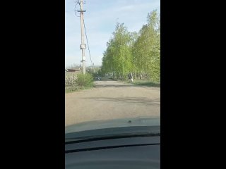 Центральная дорога СНТ Горняк