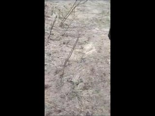 Видео от Уничтожение тараканов клопов в Самаре