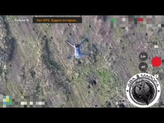 ВС России уничтожают живую силу врага дронами в Работино