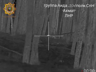 Serebryansky forestry. The Sniper duel once again ended quickly