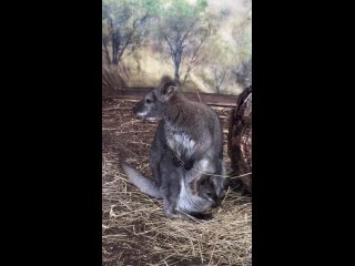 Видео от ПМС (Позитивные московские события)