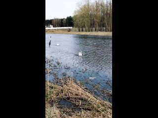 Видео от Ольги Виноградовой