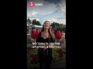 Картинки со смыслом или без... (видео)
