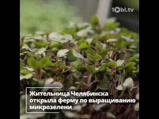 Жительница Челябинска открыла ферму по выращиванию микрозелени
