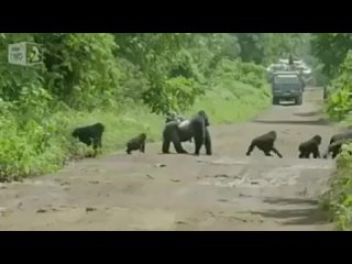 Видео от Душевно